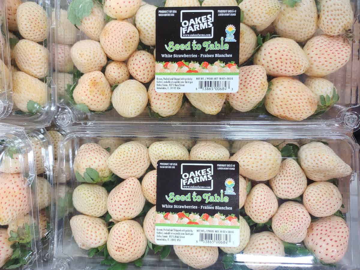 Clamshell containers of Oakes farms White Strawberries at the grocery store.