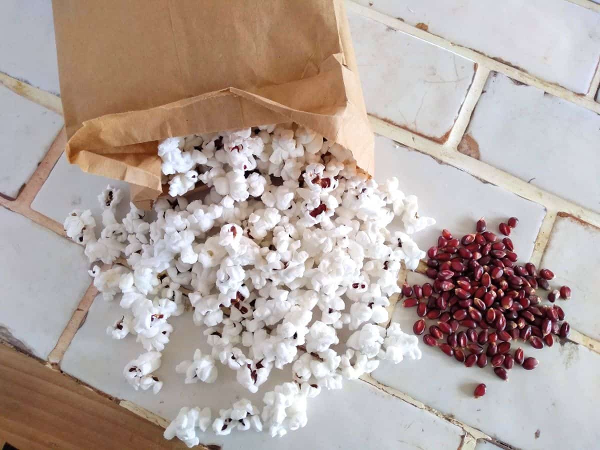 A paper bag of popcorn spilling out onto a countertop. Red unpopped kernels on their countertop next to it. 