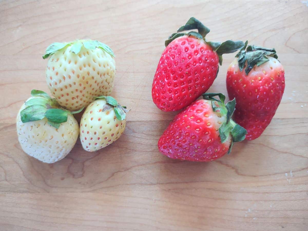 3 white pineberries next to 3 red strawberries on a wood board.