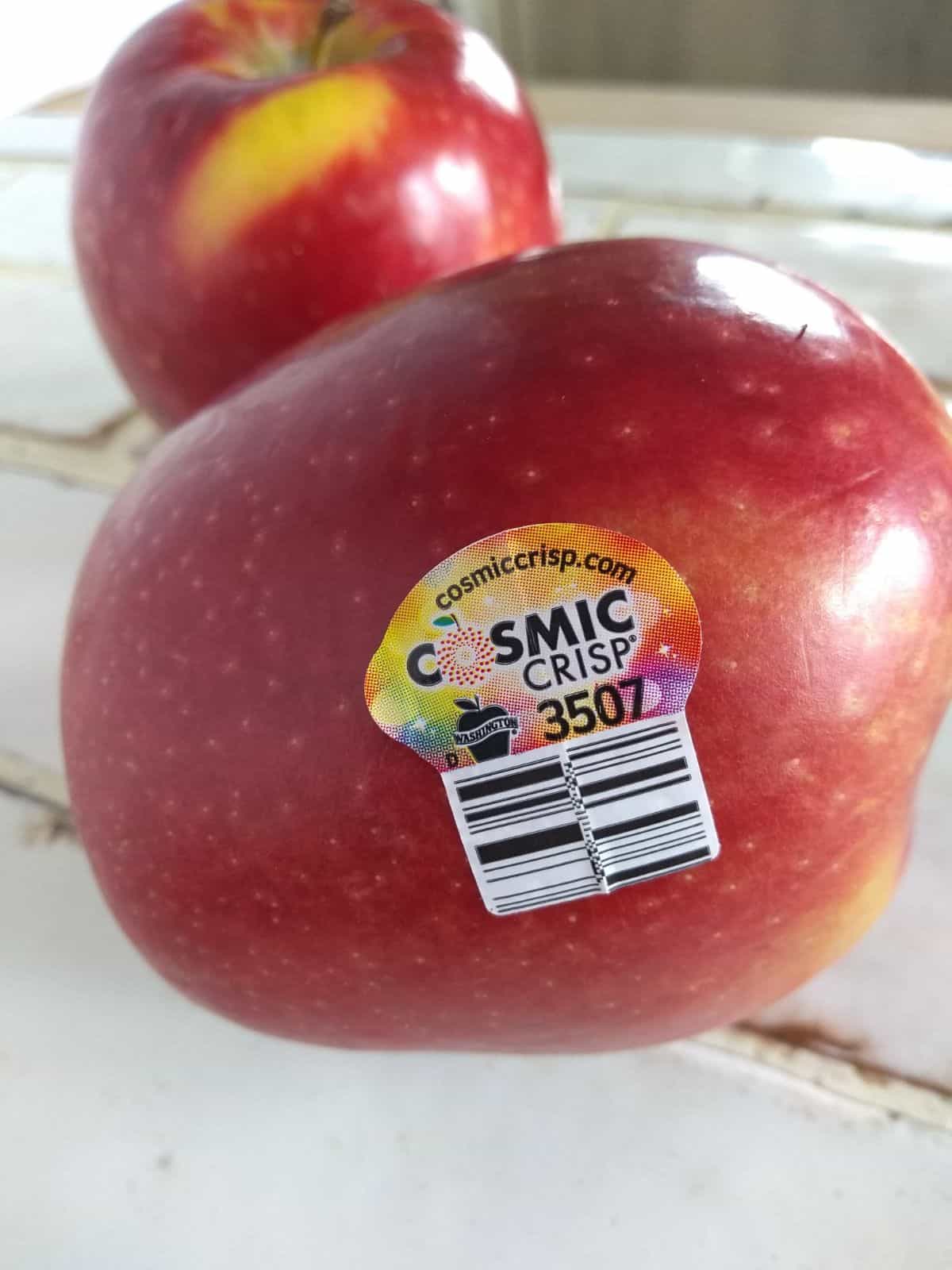 Two Cosmic Crisp apples on a white tile countertop. The one in front is focused on the plu sticker. 