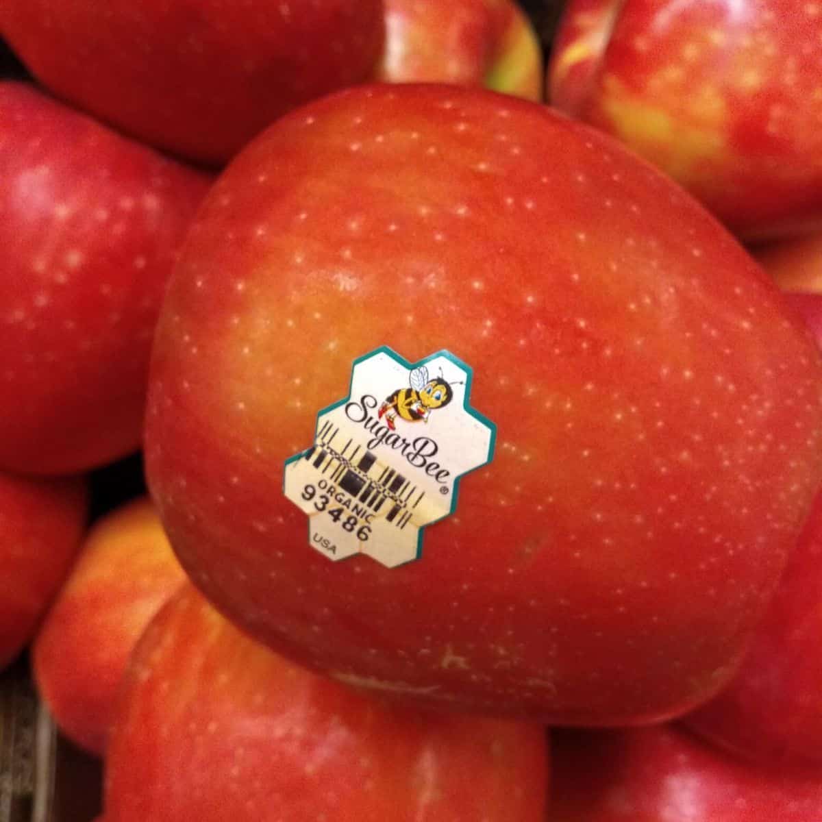 List of Organic Apple Varieties Eat Like No One Else