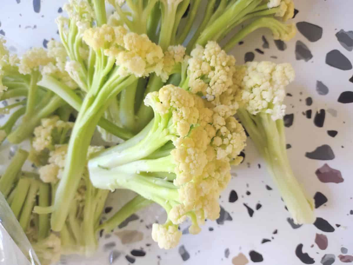 A close up of baby cauliflower with white florets and green stems on a table.