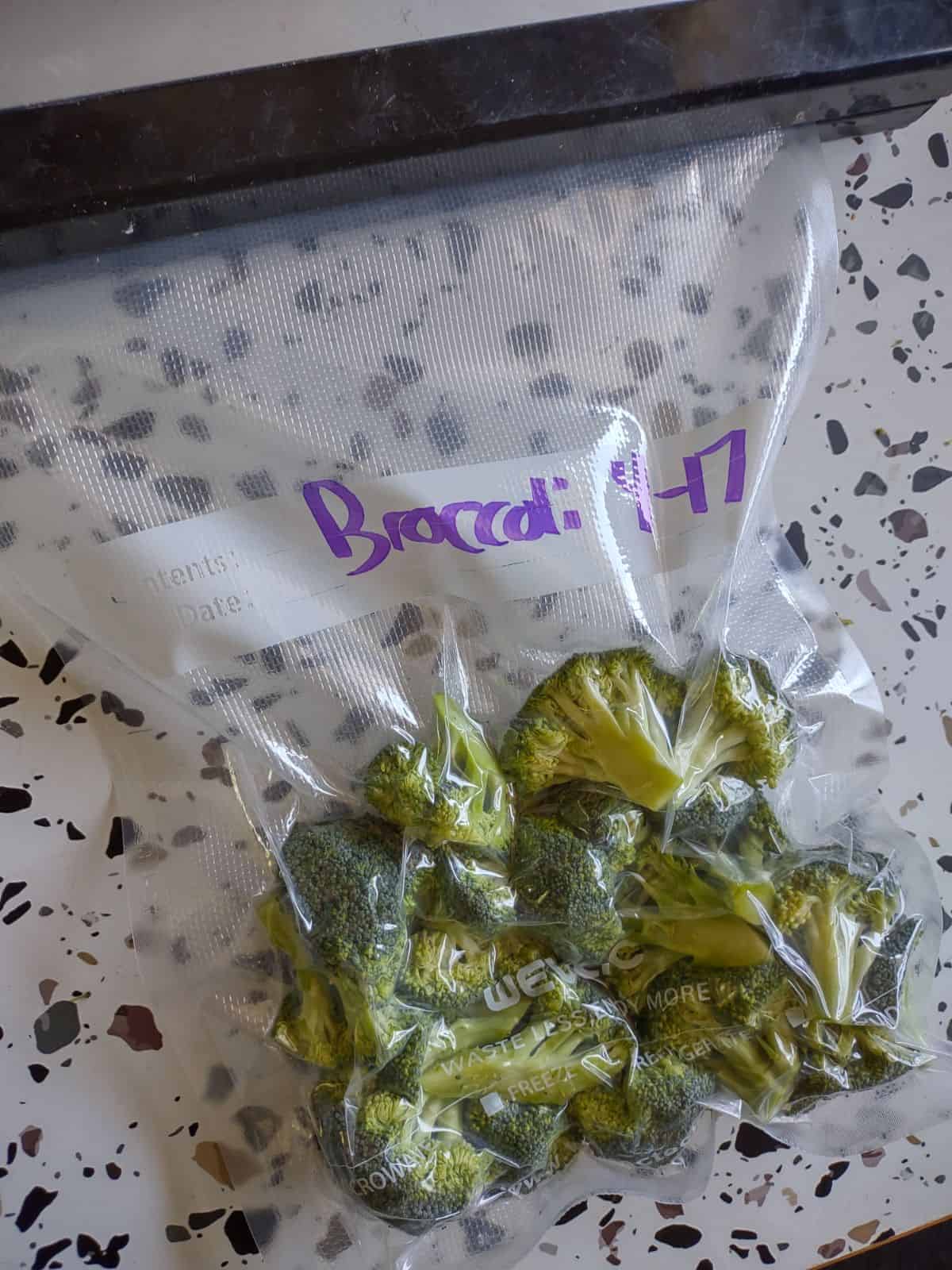 A bag of broccoli florets being vacuum sealed in a plastic bag.