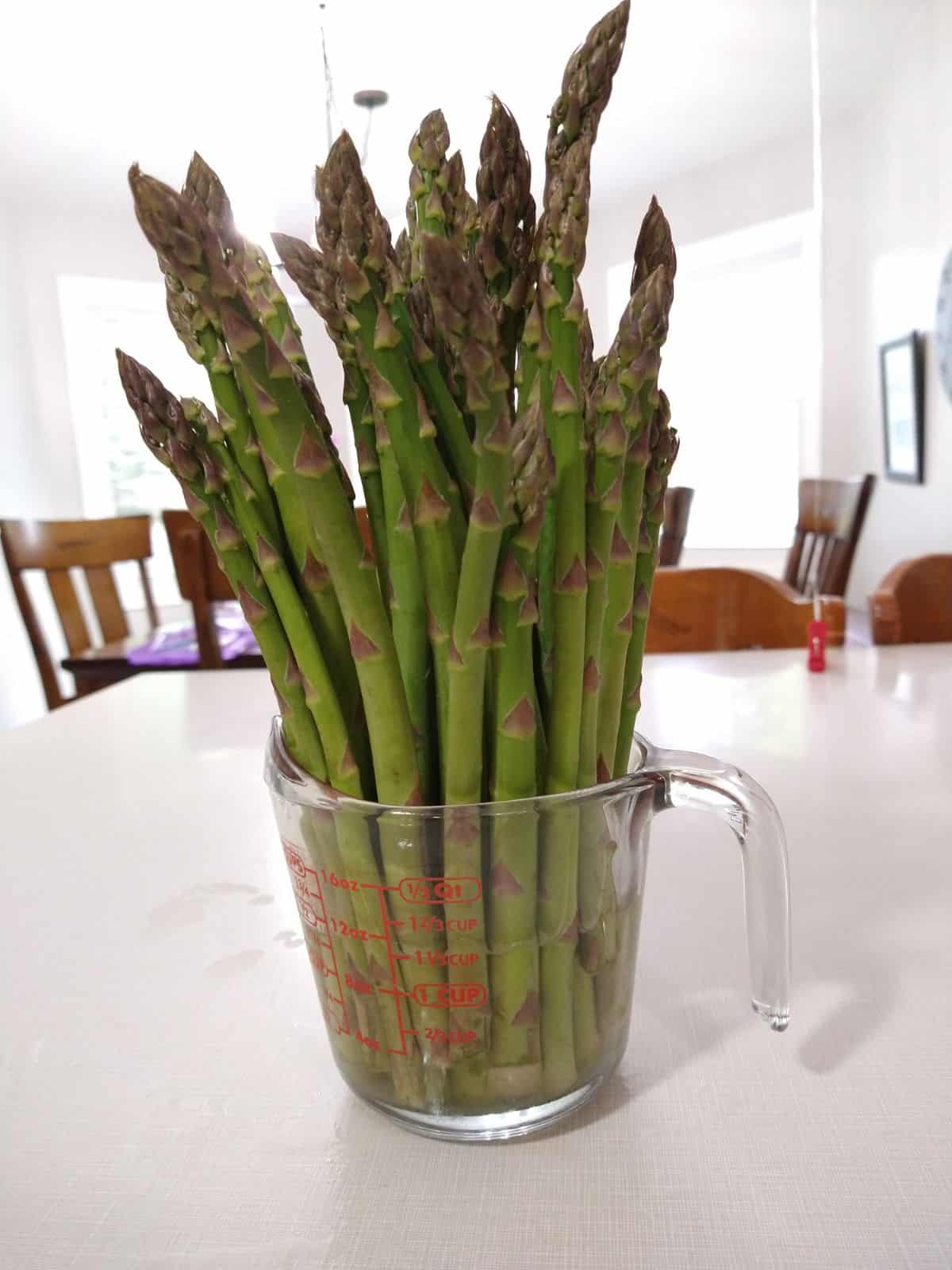 Green asparagus in a glass Pyrex measuring cup  with water in it.