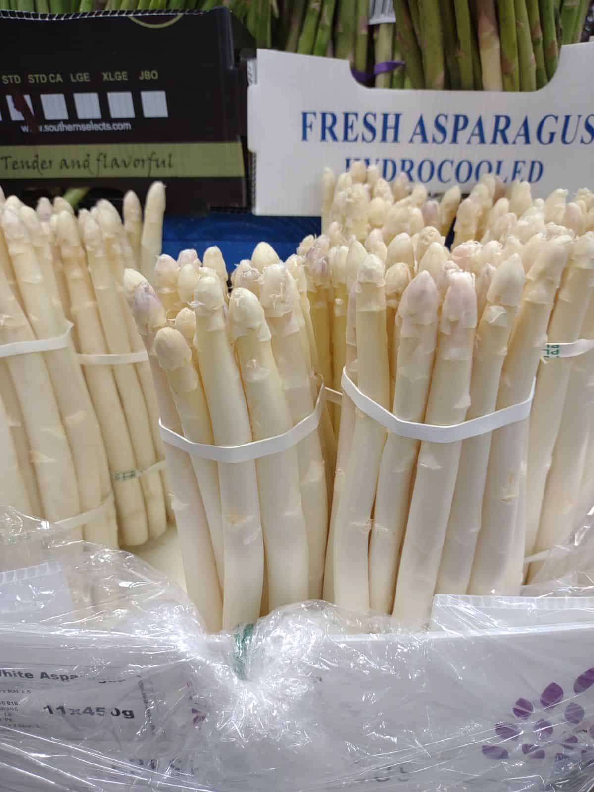 A display of white asparagus with white rubber bands at the grocery store.