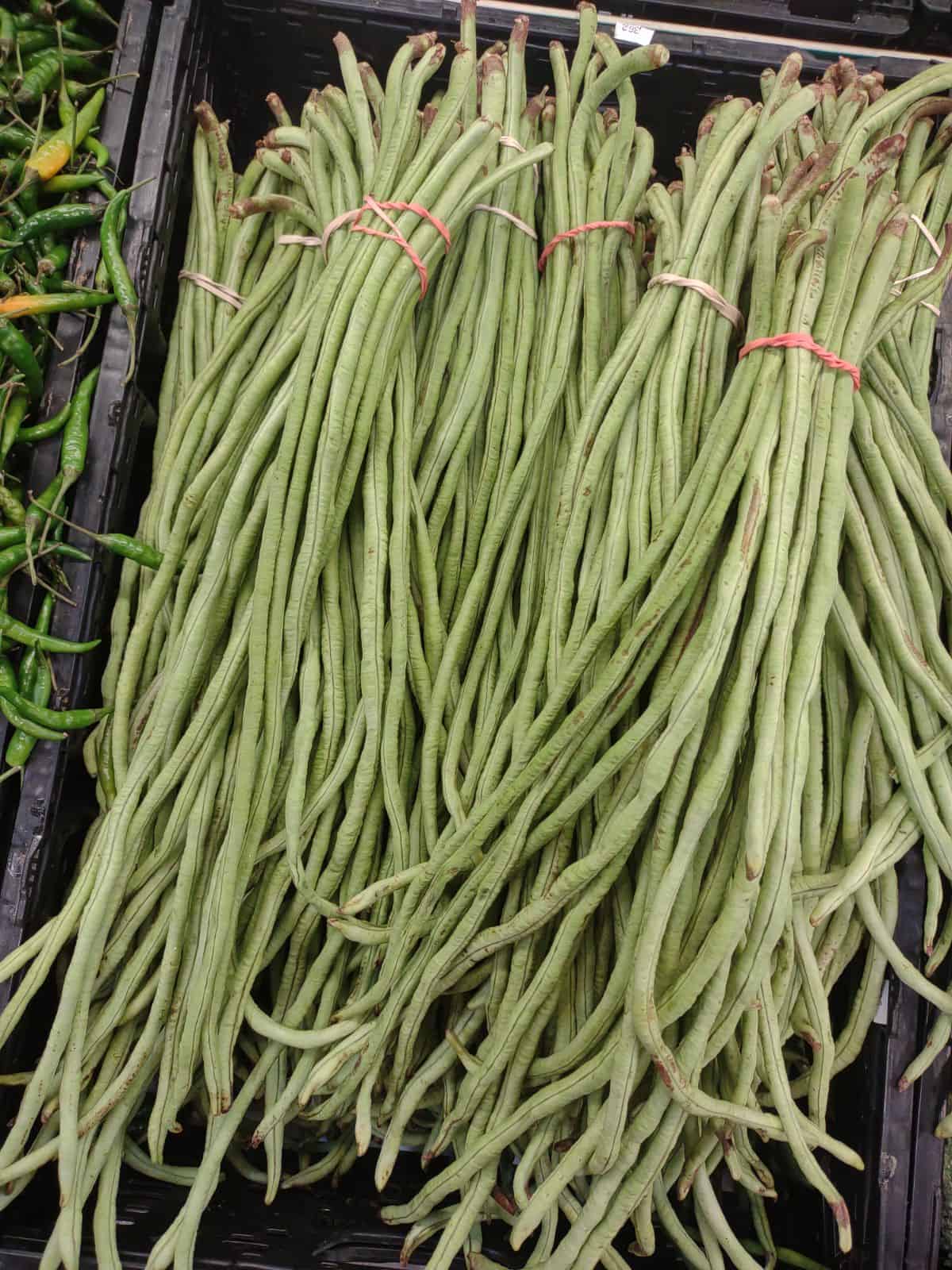 Green Chinese long beans in a black bin at a grocery store.