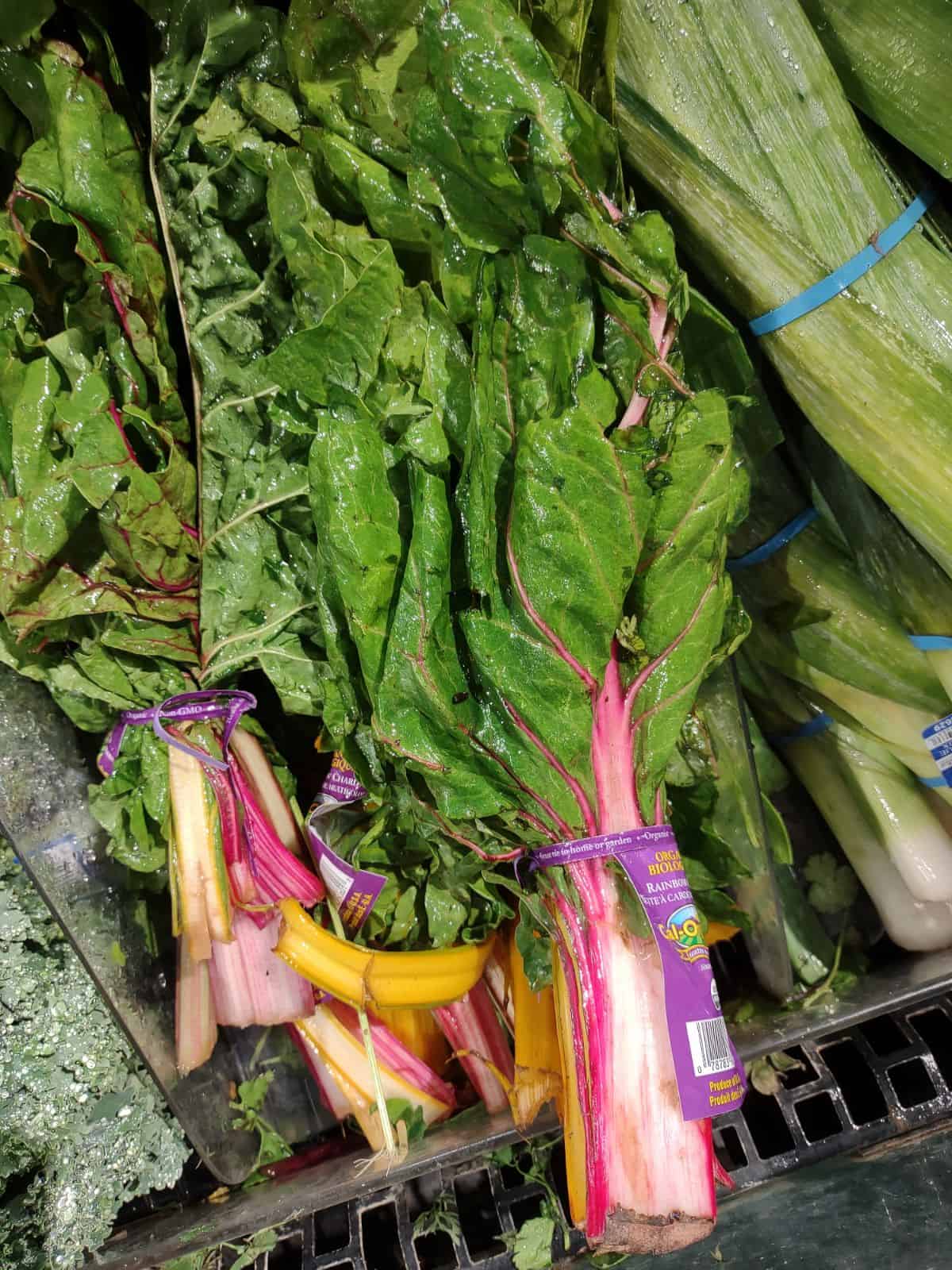 Rainbow Swiss Chard bunches at a grocery store.