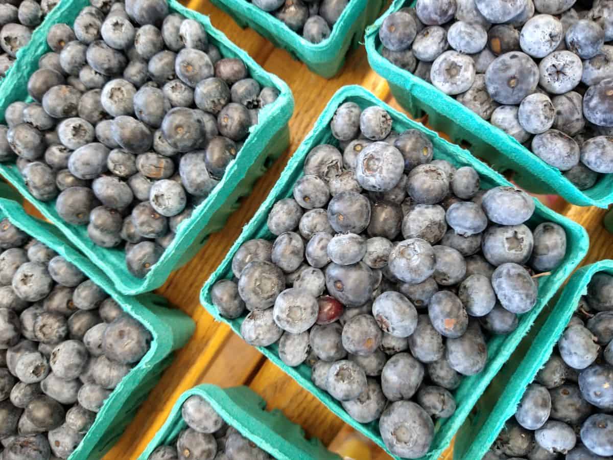 Containers of blueberries  on a wood table.