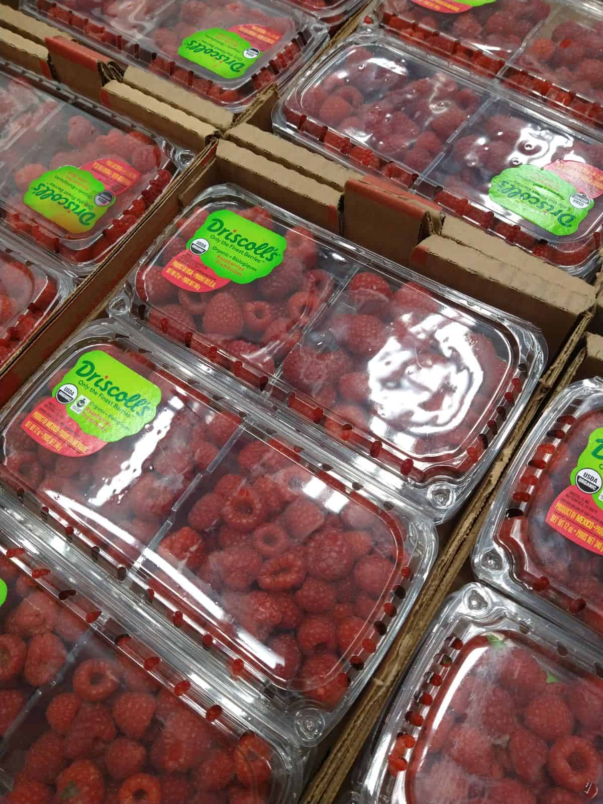 Containers at Driscoll's Organic Red Raspberries at a Costco store.