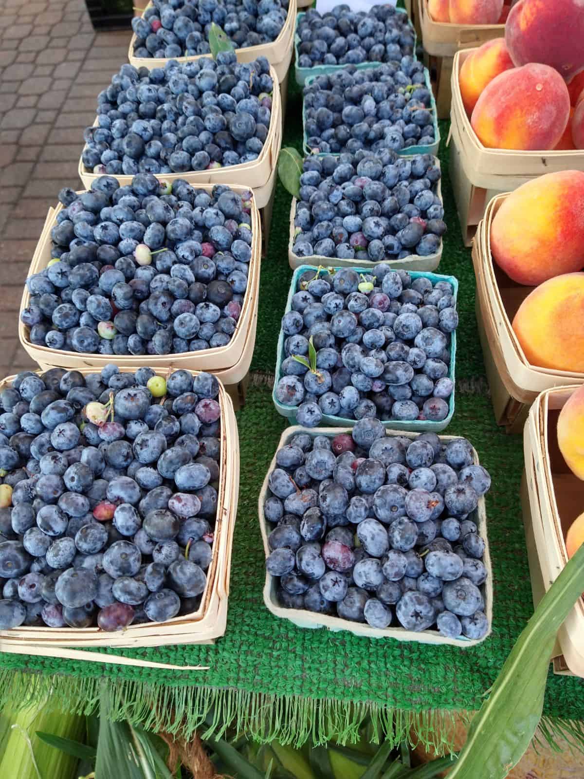 Containers of Liberty Blueberries on a table at a farmer's market in Michigan.