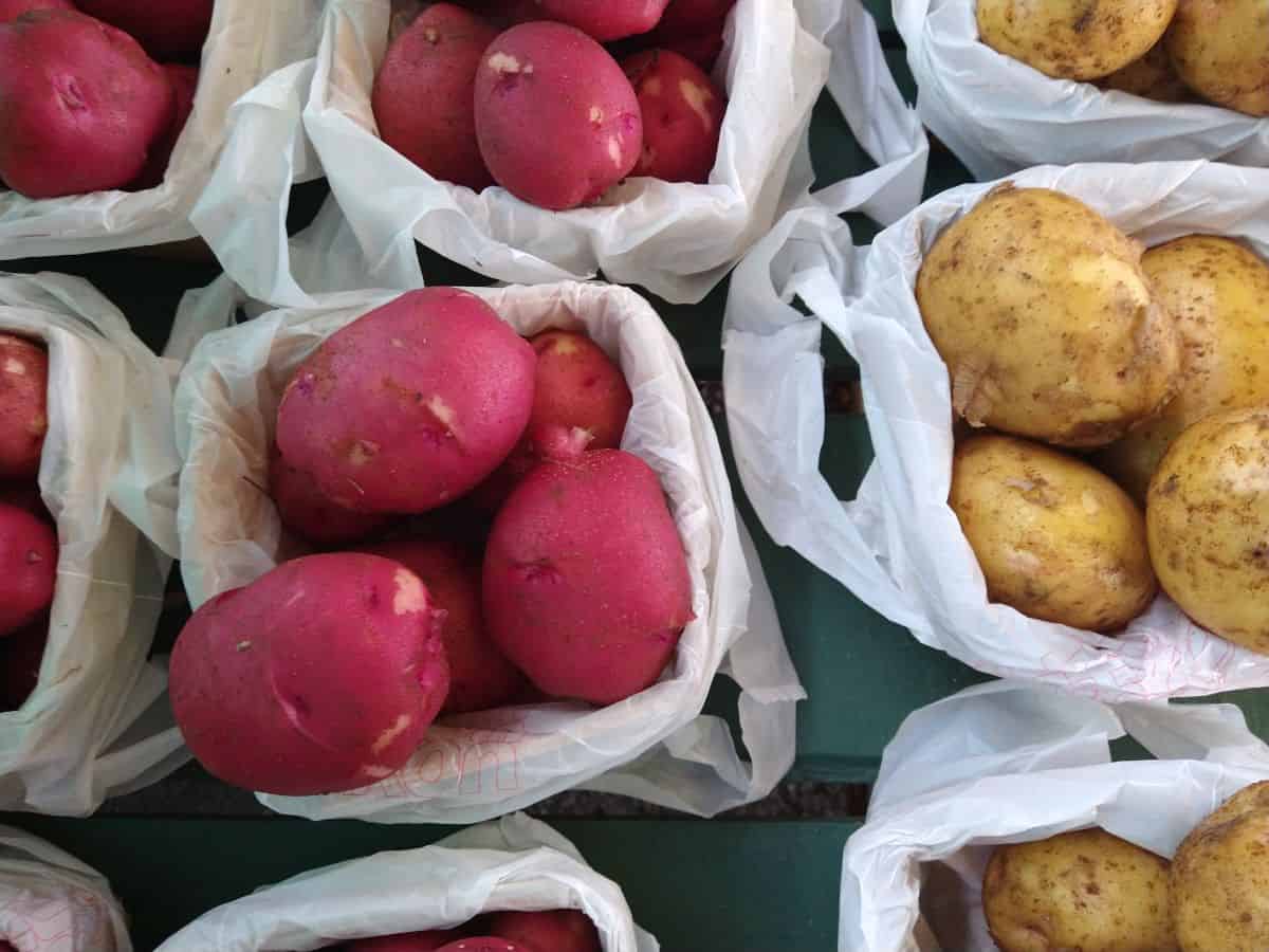 Baskets of new red and yellow potatoes at a farmers market.