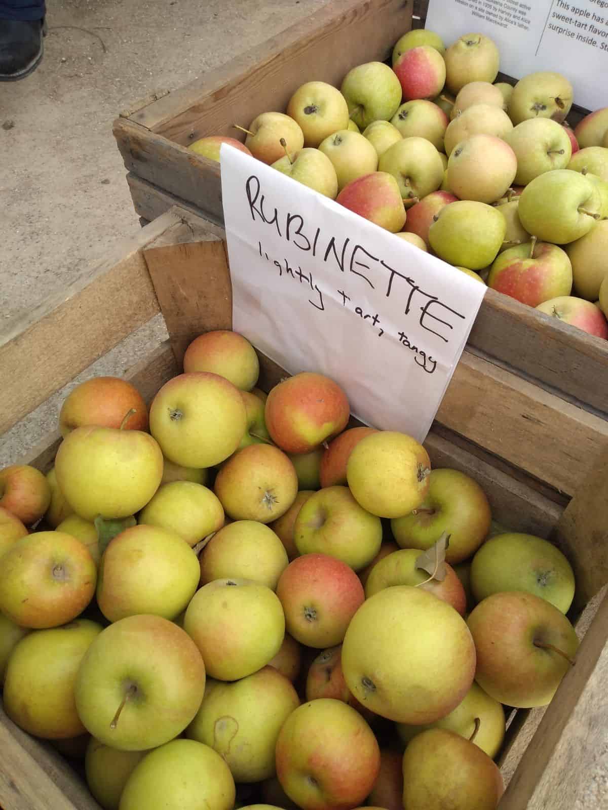 Bins of Rubinette apples at a farmers market