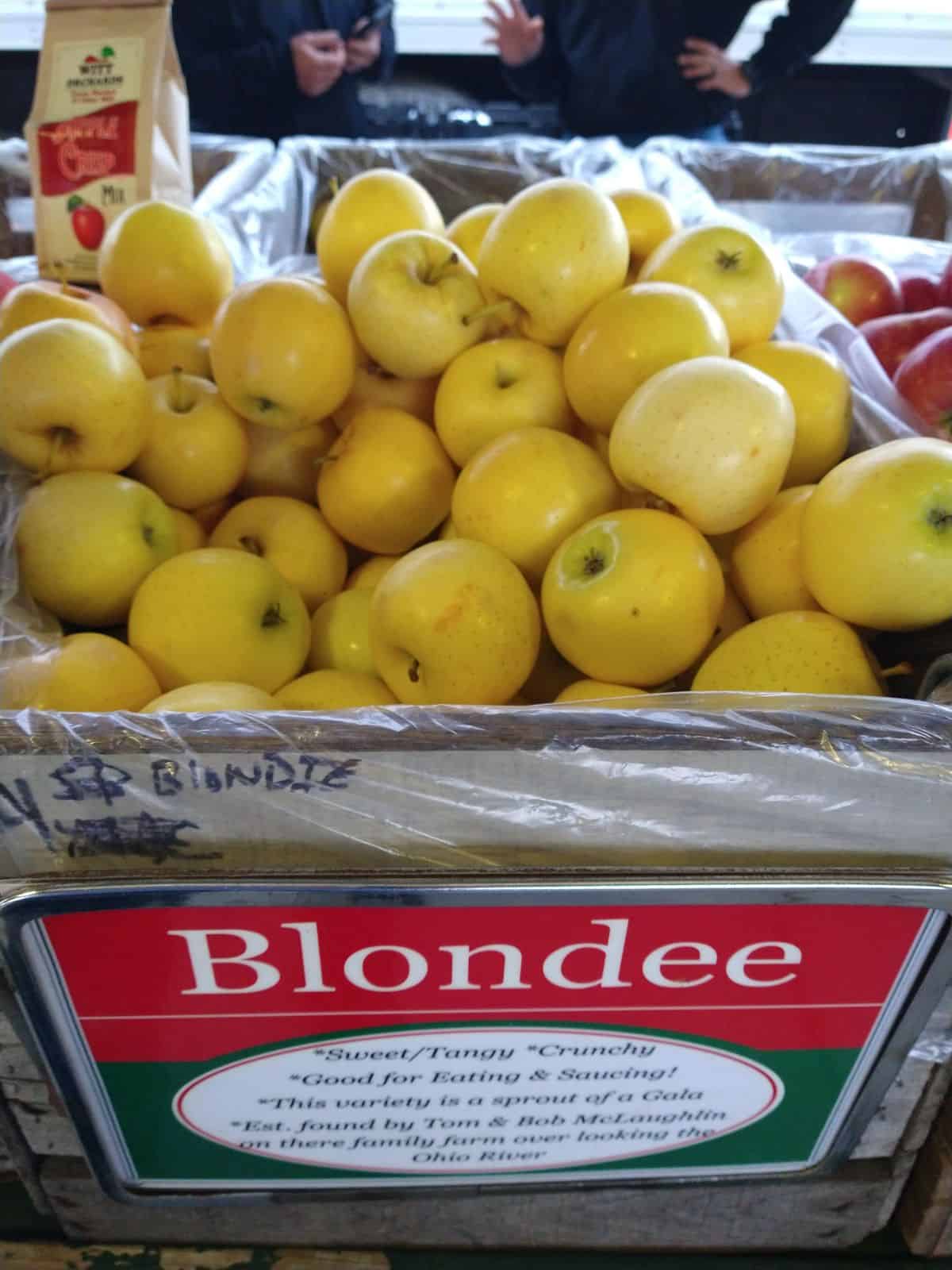 A bin of yellow Blondee apples at a farmers market.