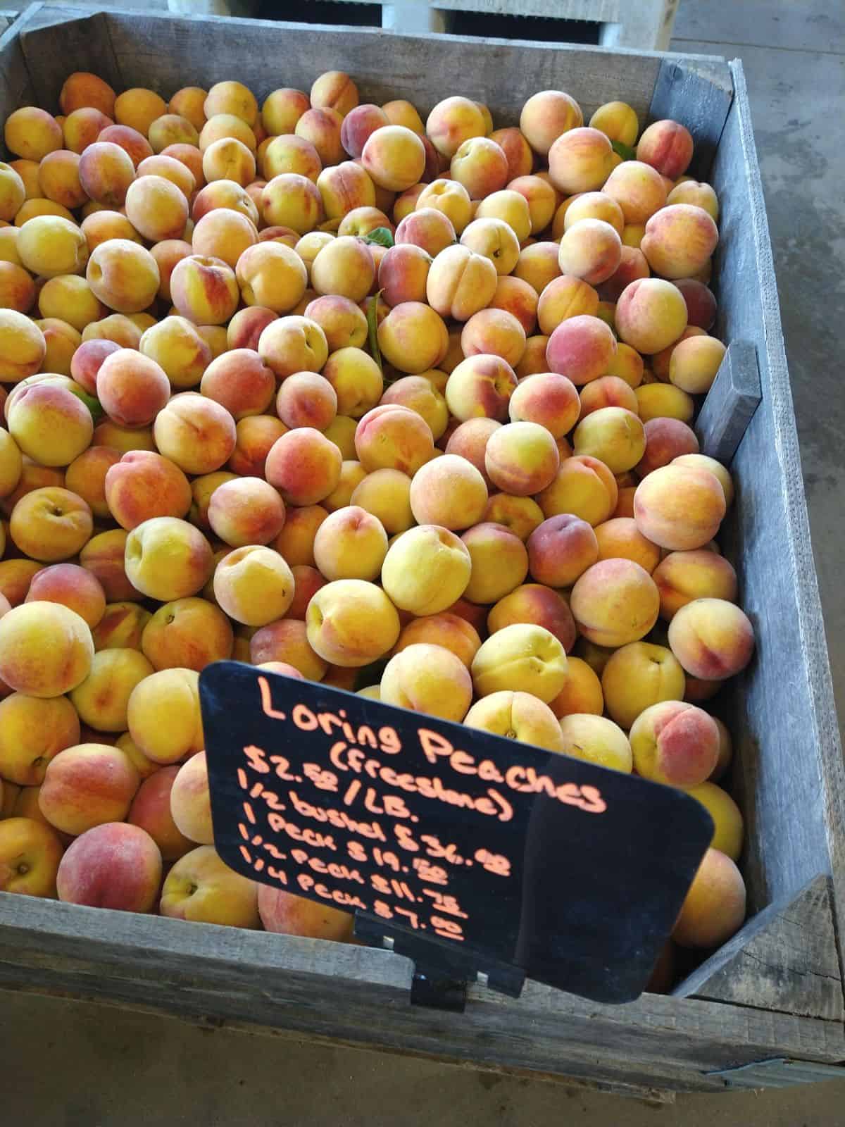 A bin of Loring peaches with a sign showing the prices.