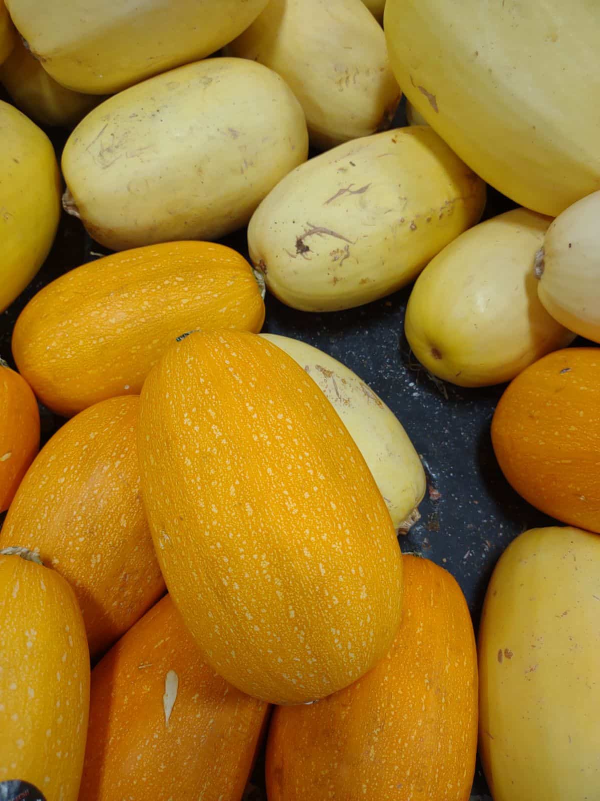 Orangetti Spaghetti Squash next to regular spaghetti squash.