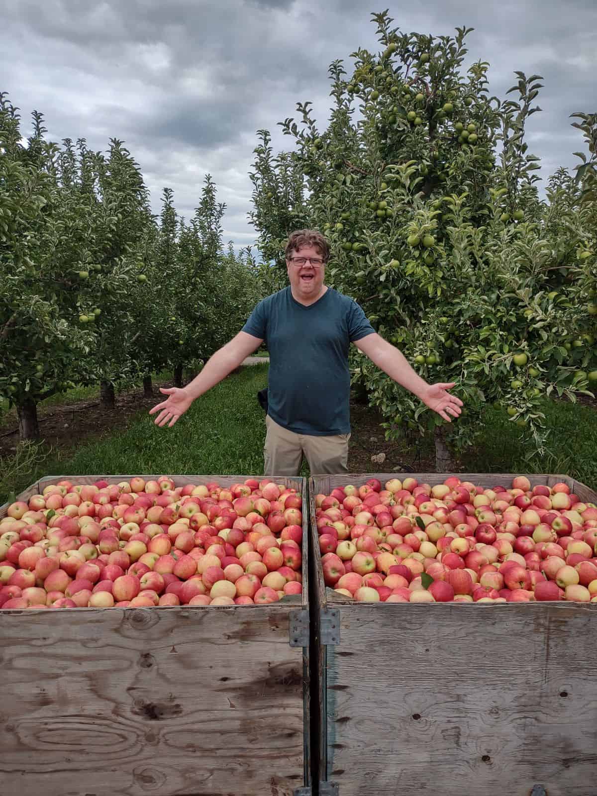 Author of this blog and website standing in front of two bins of Gala apples he didn't pick.