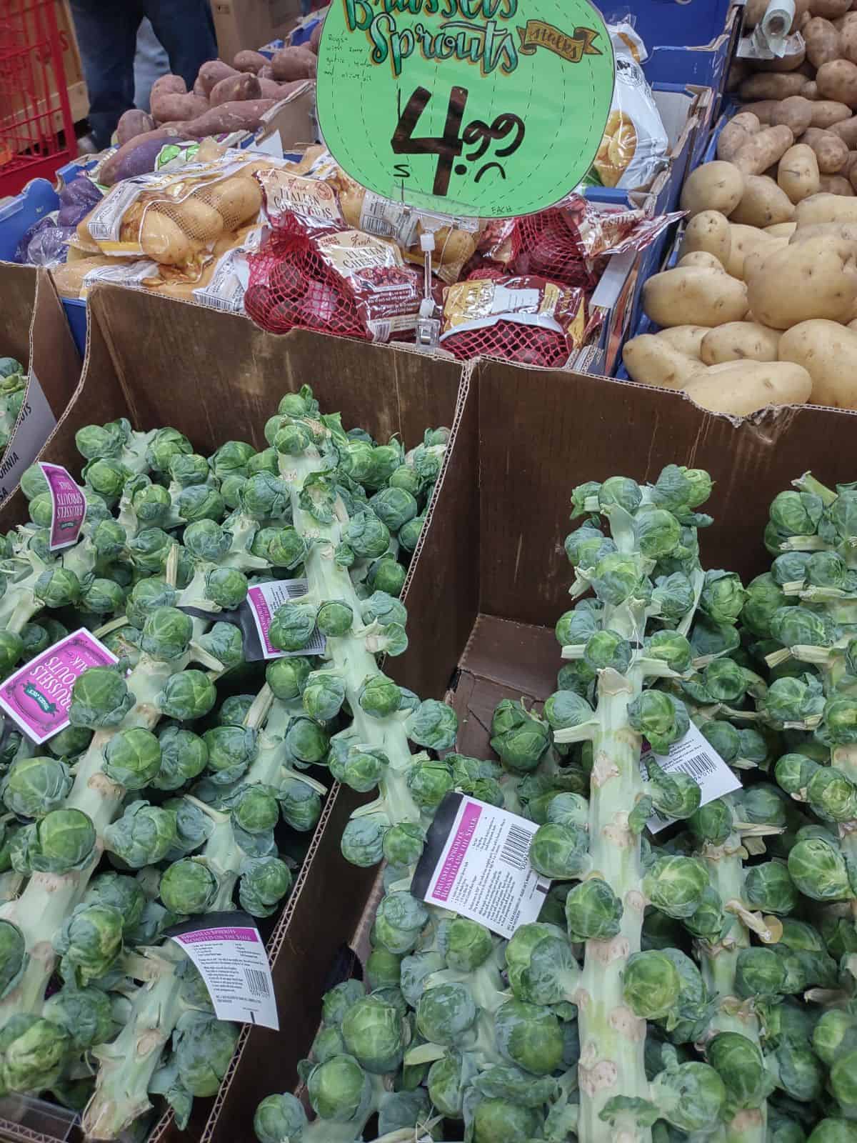 Boxes filled with Brussels sprouts on the stalk.