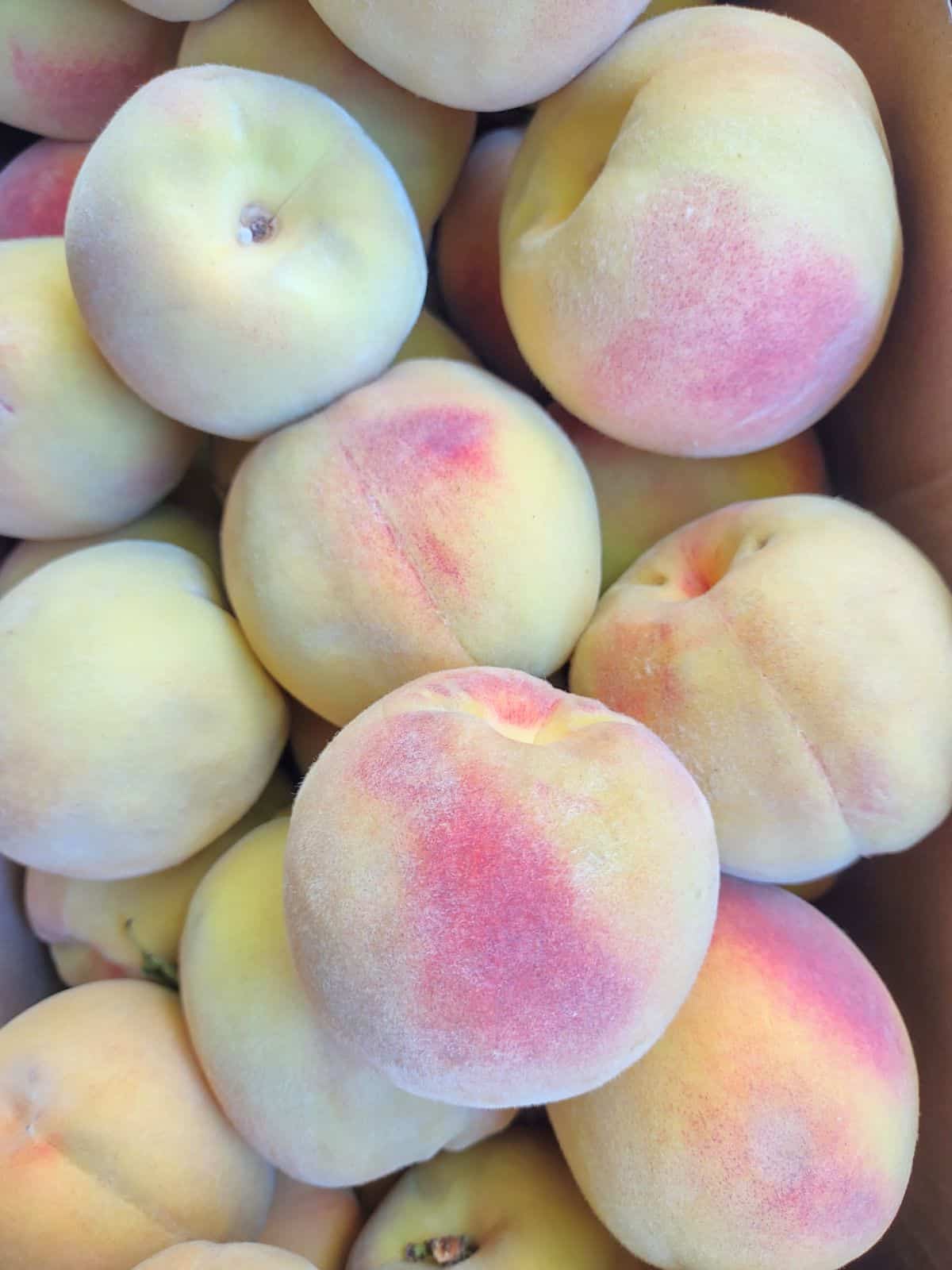 Lemon Elberta peaches in a box.