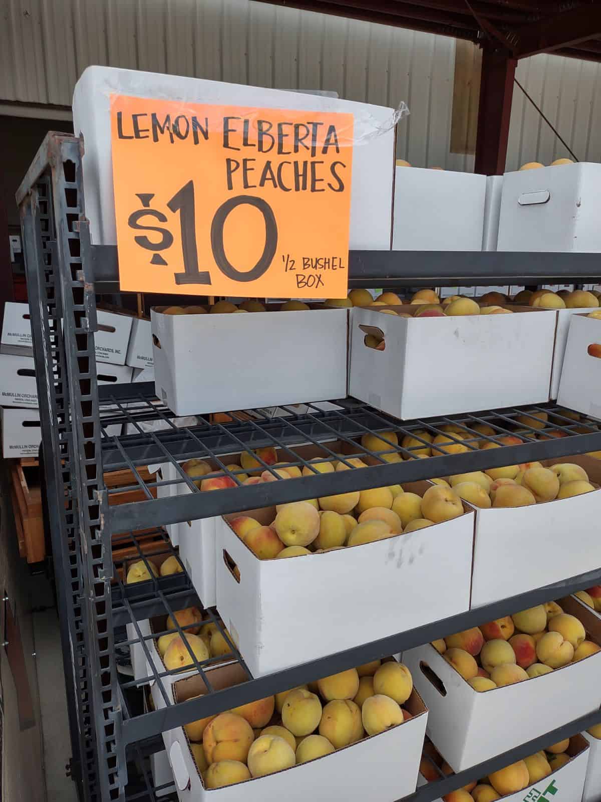 Boxes of Lemon Elberta peaches for sale at $10 for ½ bushel box.