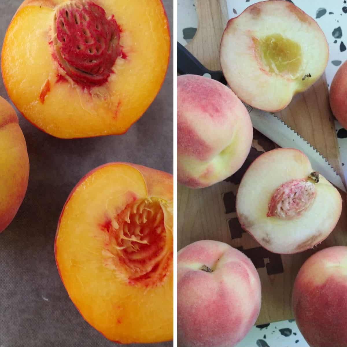 A side by side picture, on the left are cut open yellow flesh peaches and on the right is sliced open white flesh peaches.