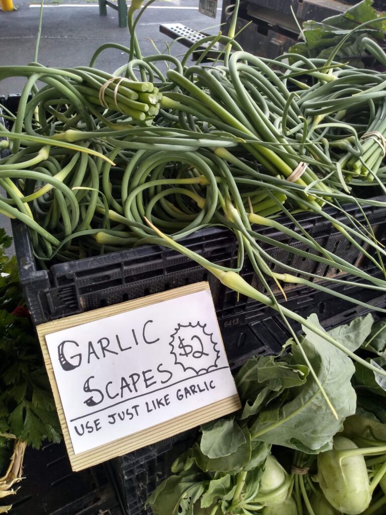 A display of garlic scapes for $2 a bunch sold in Toledo, Ohio.