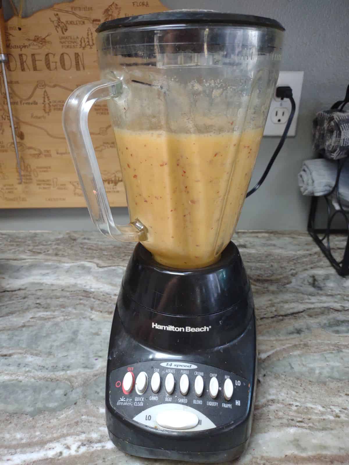 Peaches, water, and sugar pureed in a blender.