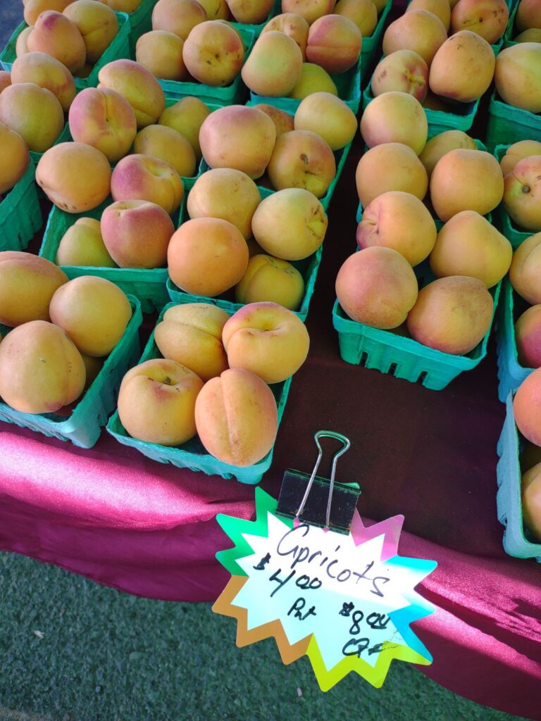 Apricots on display at a farmers market table in Oregon.