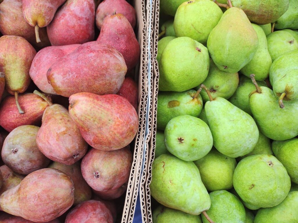 Red Bartlett pears next to green Bartlett pears.