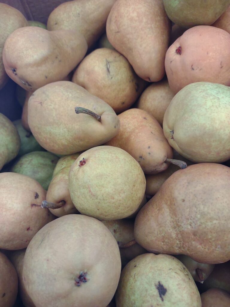 Bartlett pears that have a brown russetted skin.