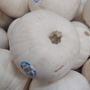 A display of Snowbaby White Pumpkins