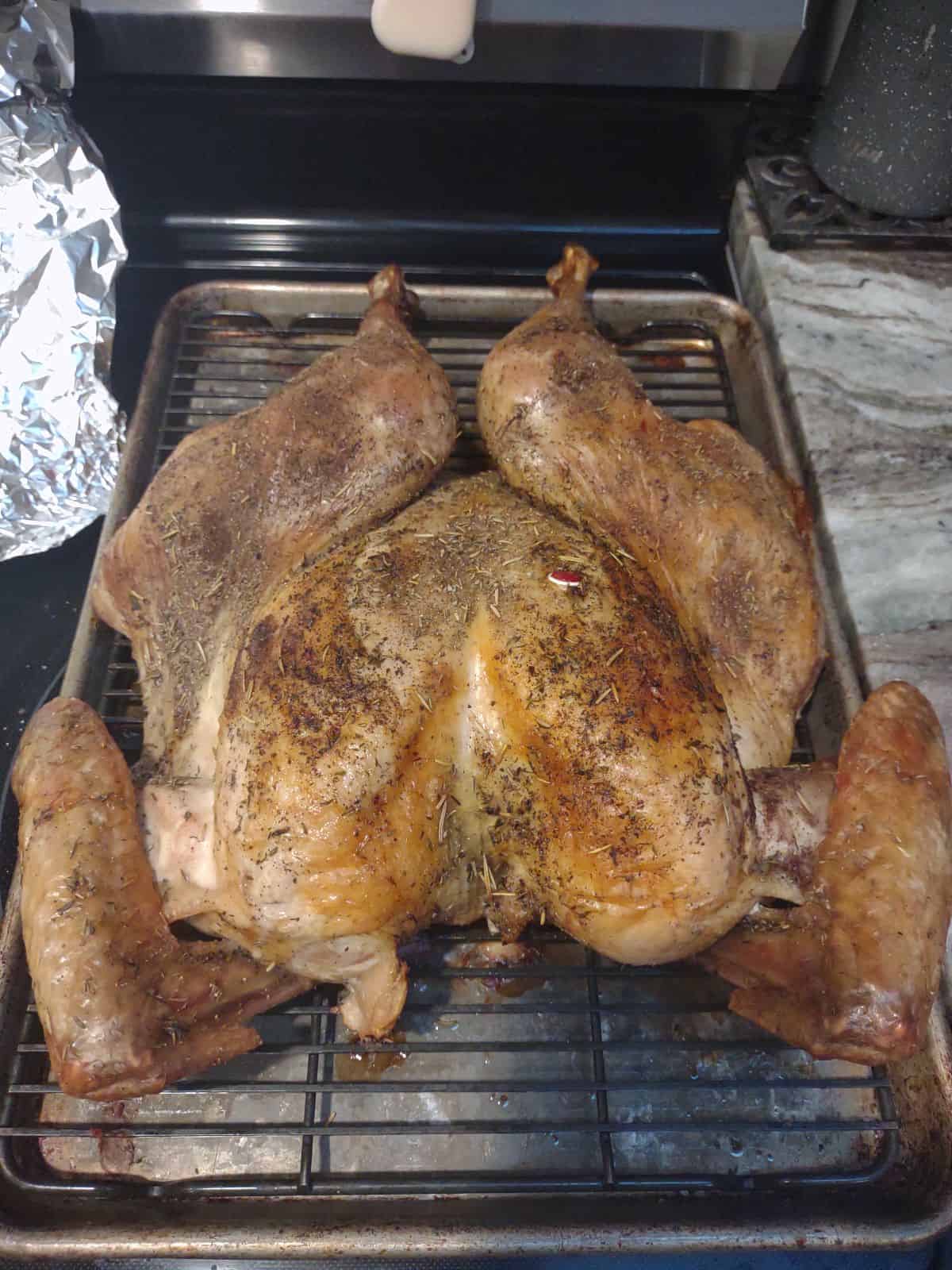A spatchcocked turkey on a sheet pan fresh out of the oven.