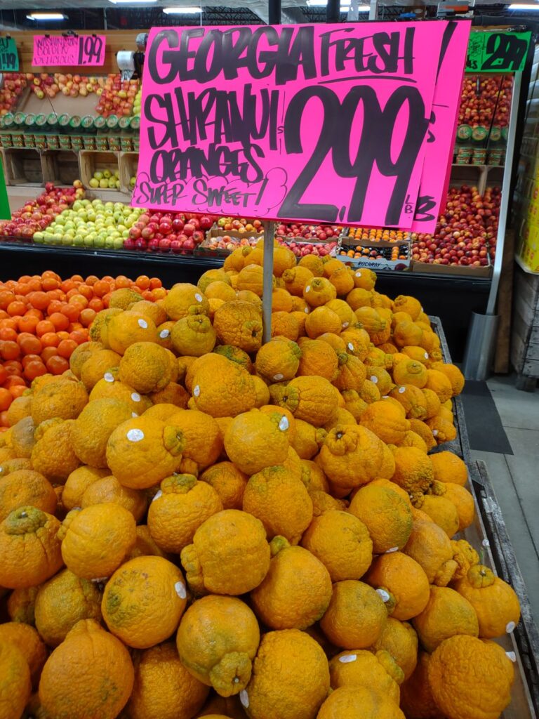 A displayof Georgia Grown Shiranui mandarins at a Florida grocery store.
