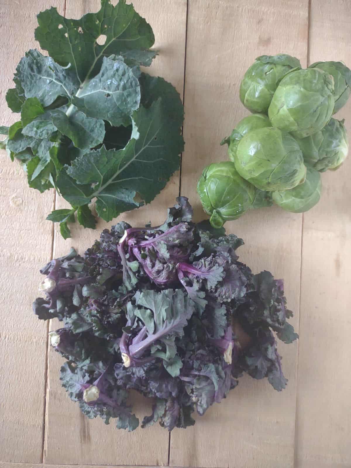 Kale, Brussels sprouts, and Kalettes arranged on a wood board.
