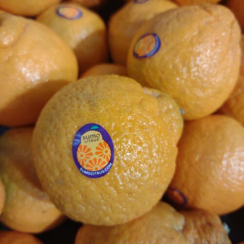 A display of Sumo oranges on display at a Smith's grocery store in Utah. The fruit has a purple and orange PLU sticker on the front.