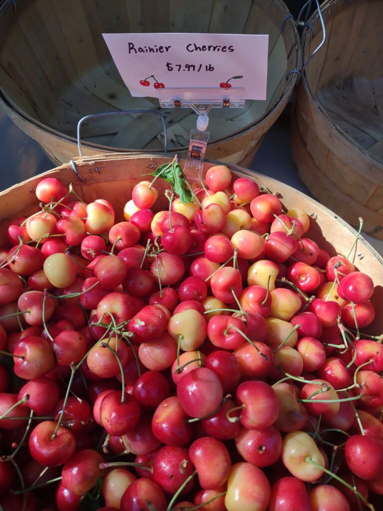 A basket filled with Rainier cherries at a farmers market