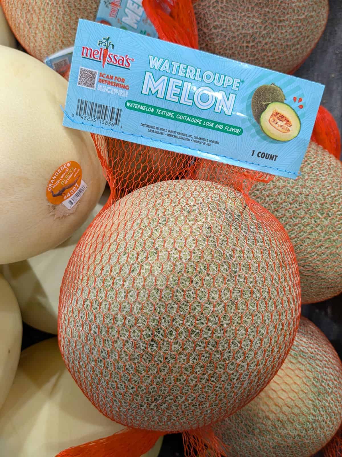 A display of Melissa's Waterloupe melon along with some Honeydews at a grocery store