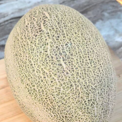 A Waterloupe melon sitting on a cutting board ready to be cut.