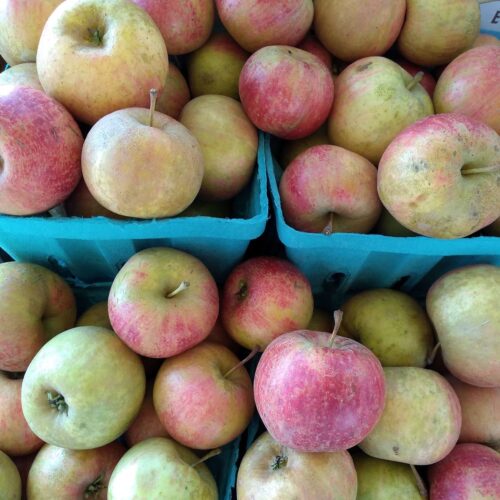 A display of Chestnut Crab apples at a Whole Foods Market store. The apples are stacks on quart sized fibre containers.