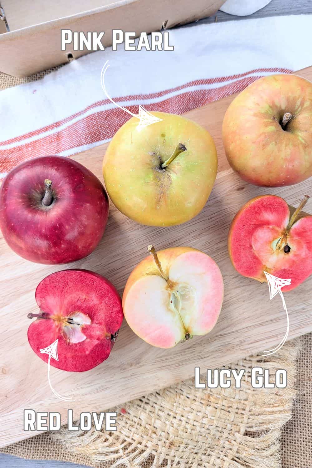 A cutting board with a Red Love (red-fleshed), Pink Pearl (pink-fleshed), and Lucy Glo apple (dark pink fleshed) on it.