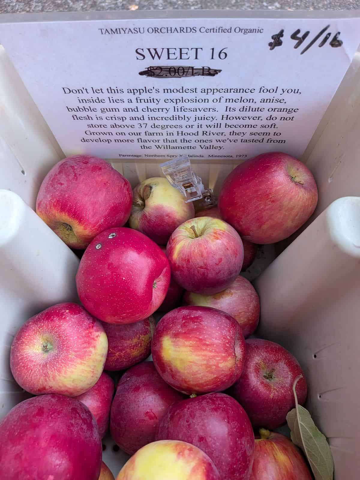 A bin of Sweet Sixteen apples at a farmers market with a sign sharing about the variety.