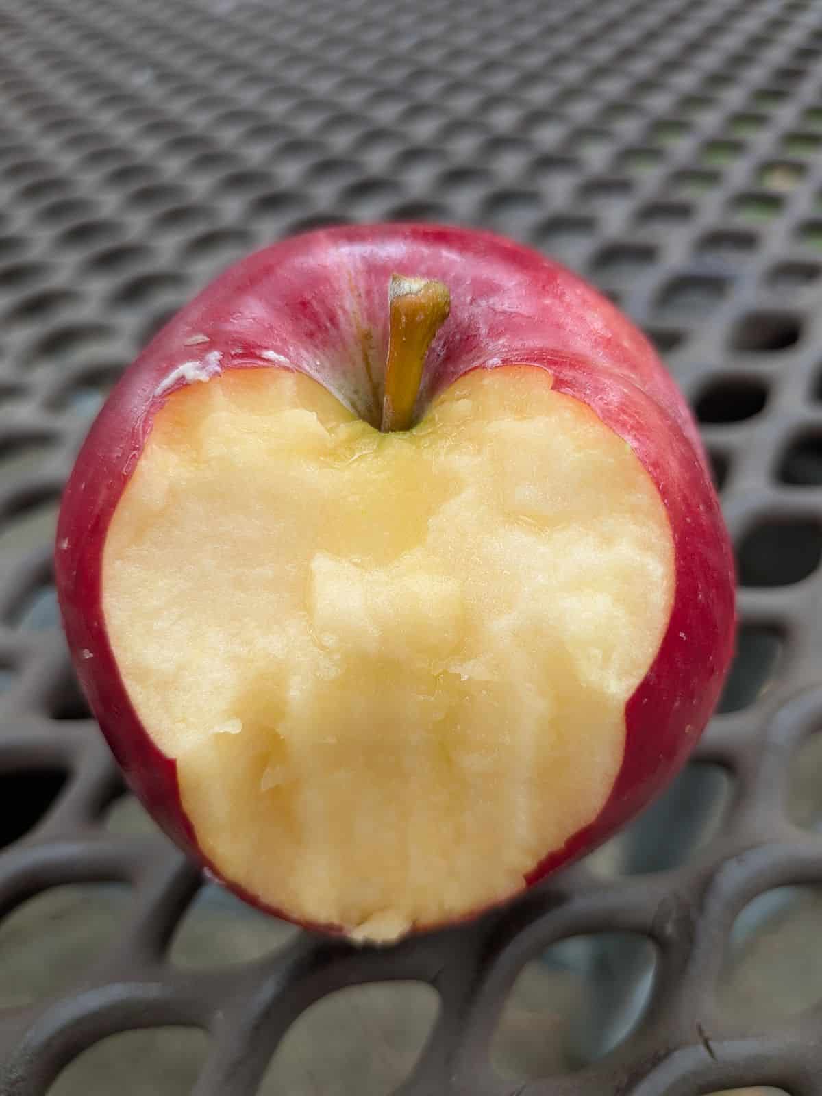 A Sweet Sixteen apple with a bite taken out of it, sitting on a picnic table outdoors.